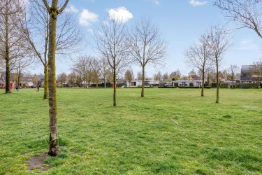 Tuin