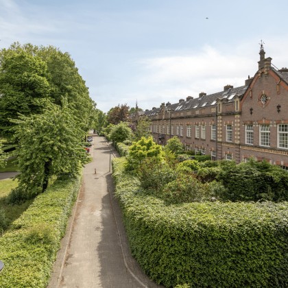 Groene omgeving