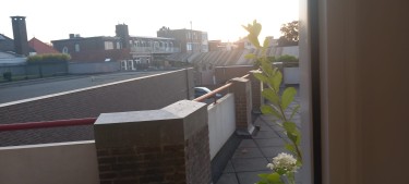 Extra foto's