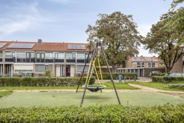 Omgeving