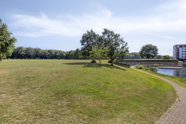 Omgeving