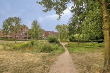 Groene omgeving