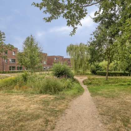 Groene omgeving