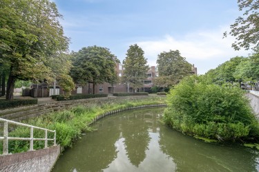 Omgeving
