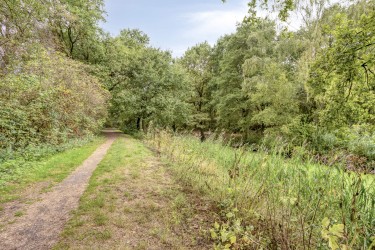Omgeving