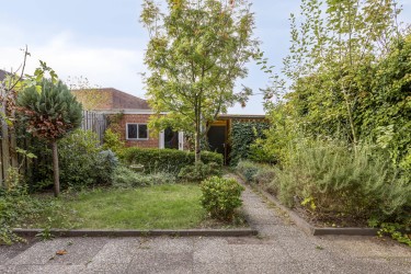 Tuin