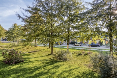 Groene omgeving