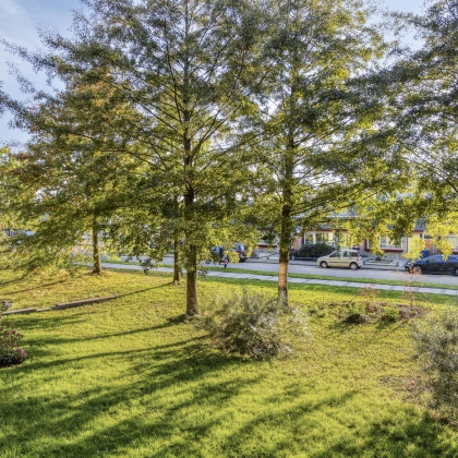 Groene omgeving