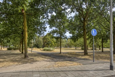 Extra foto's