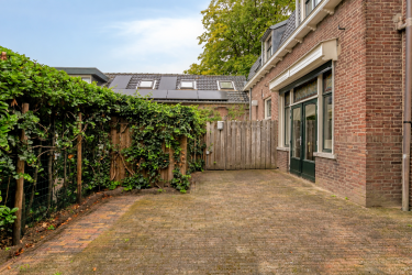 Zonnige tuin