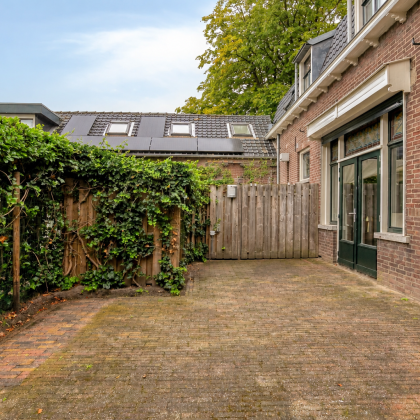 Zonnige tuin