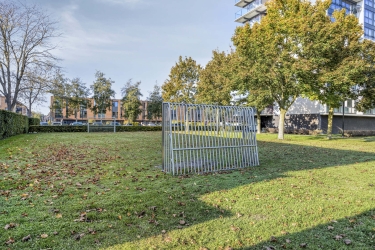 Omgeving