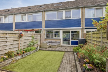 Tuin