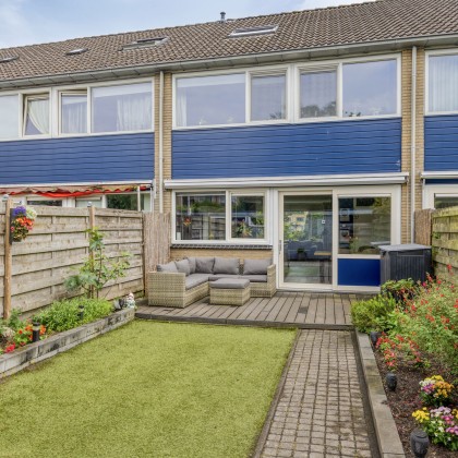 Zonnige tuin