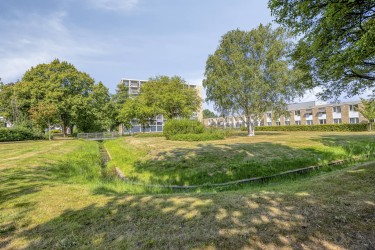 Omgeving
