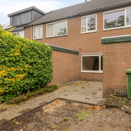 Ruime tuin