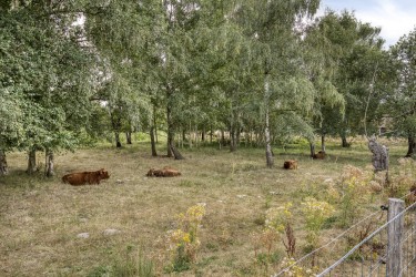 Extra foto's