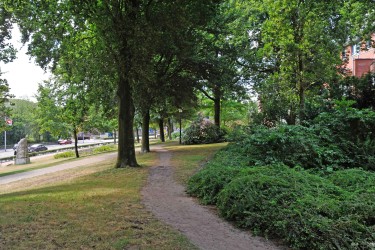 Omgeving
