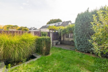 Tuin