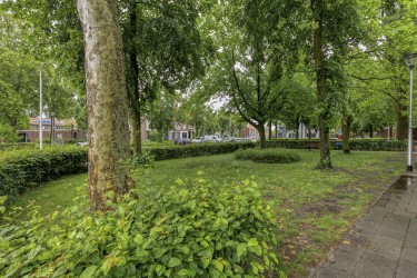 Extra foto's