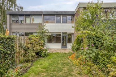 Tuin
