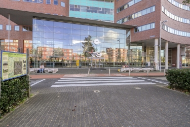 Omgeving