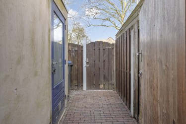 Tuin