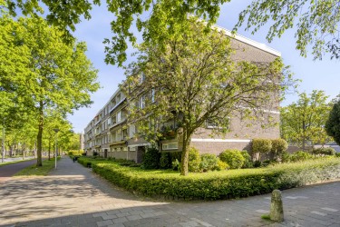 Omgeving