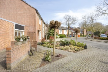 Tuin