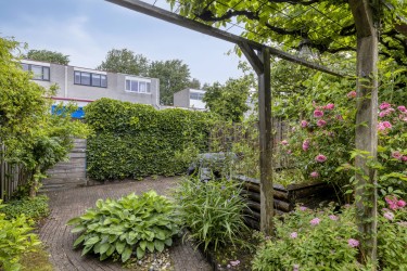 Tuin