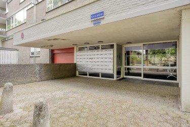 Extra foto's