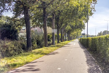 Omgeving