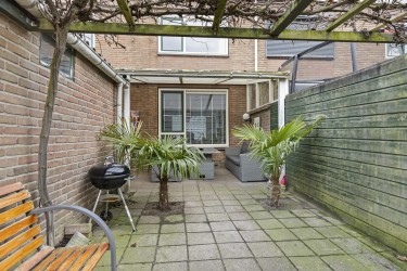 Tuin