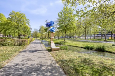 Omgeving