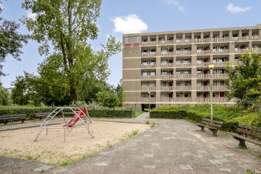 Omgeving