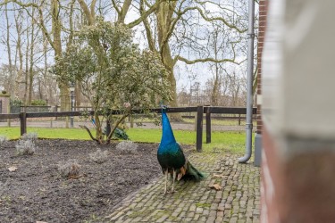 Extra foto's
