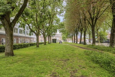 Extra foto's
