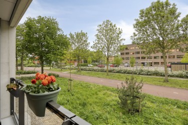 Extra foto's