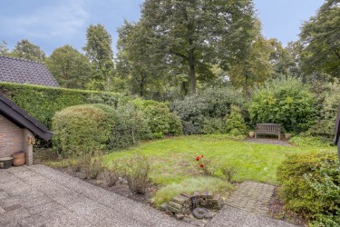 Tuin