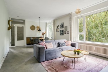 Veel licht