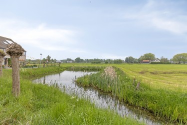 Omgeving