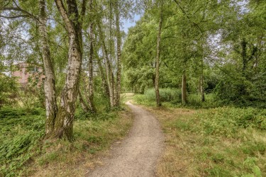 Omgeving