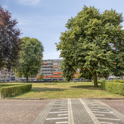 Rustige ligging
