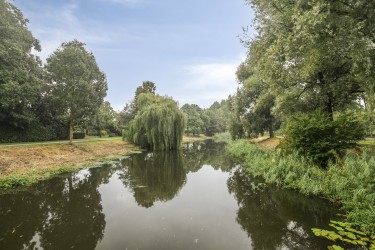 Omgeving