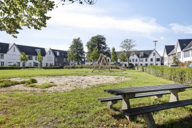 Omgeving