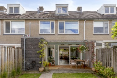 Tuin