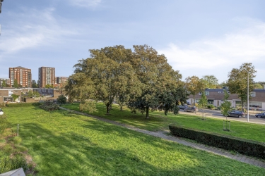 Groen uitzicht