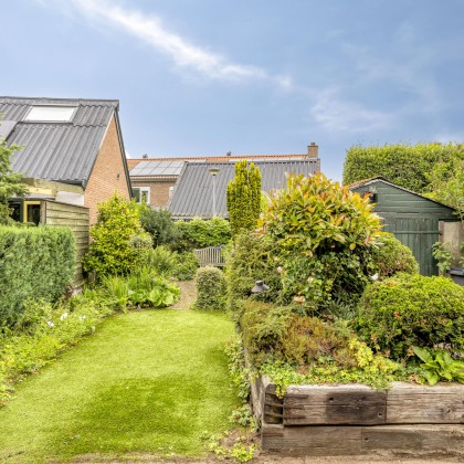 Groene tuin