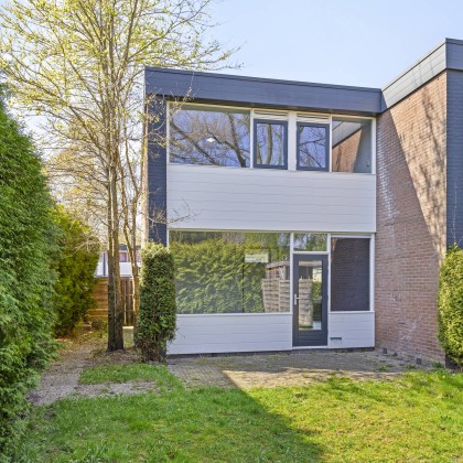 Genieten van de ochtendzon