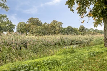 Omgeving